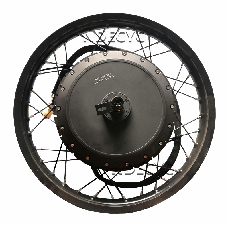 Motor Roda Sepeda Motor Listri - Qs Motor 273 8000W Hub Motor ulasan dan harga